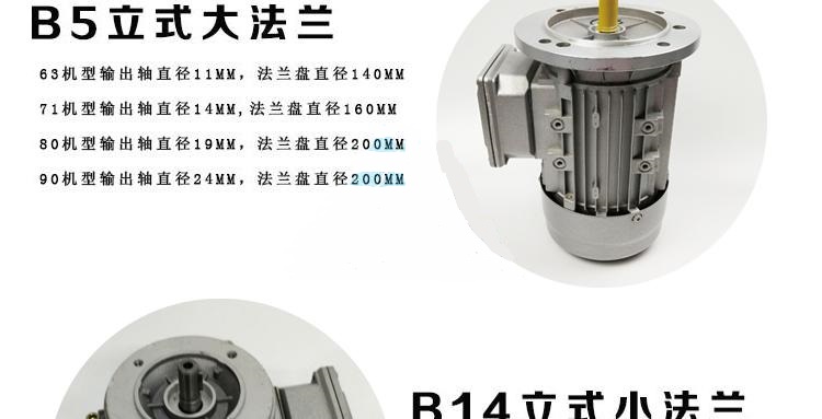 电机-02