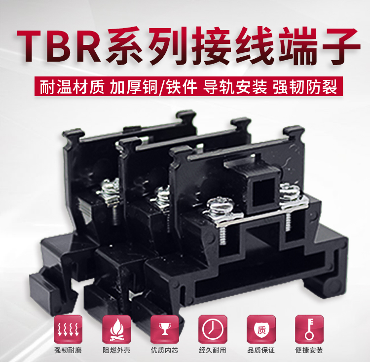 TBR1